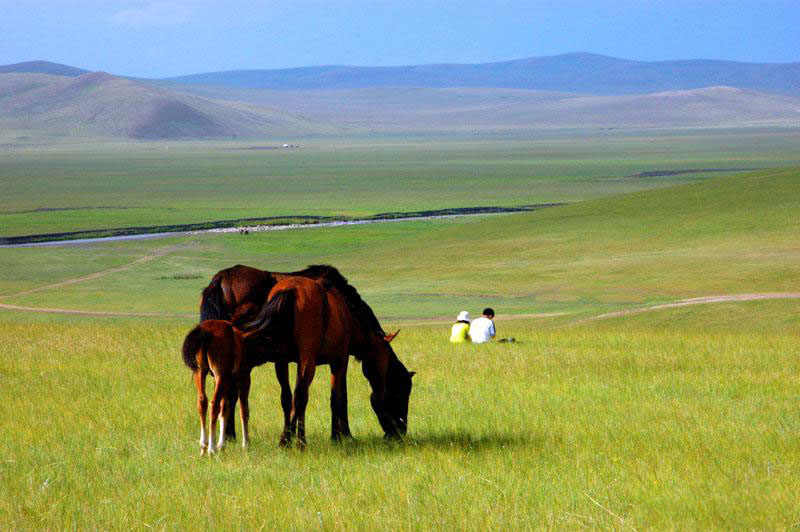 Hulunbeir Grassland